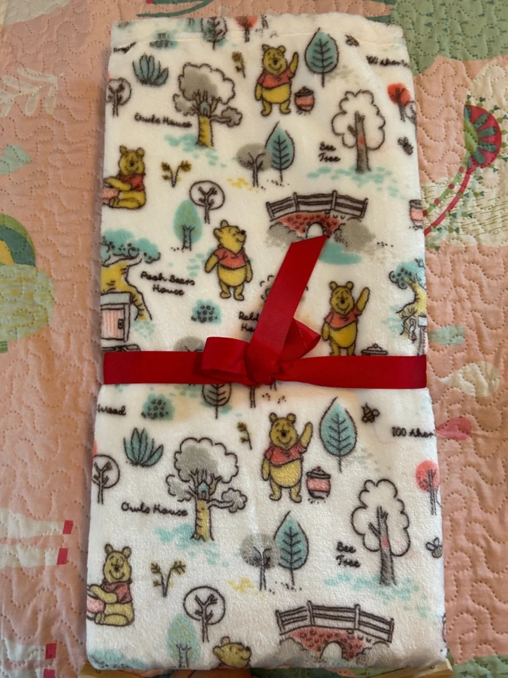 Winnie the Pooh Pet Blanket